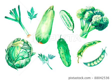 Watercolor set of green vegetables on a white background 88042536