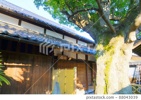 Holtonoki and Manabe Family Residence 岡山縣笠岡市真鍋島 1 88043039