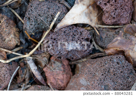 Dry branches and roots lie on stones of different colors and sizes. 88043281