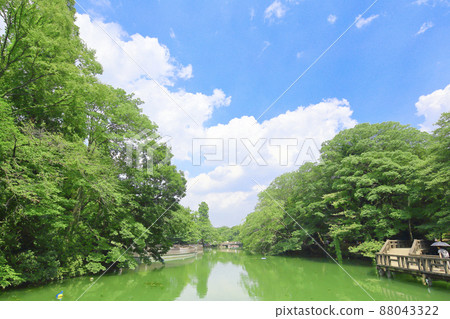 Ishigami公園在夏天 88043322