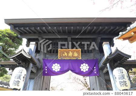 Mitsuzoin Sanmon and Angyo Sakura (Angyohara, Kawaguchi City, Saitama Prefecture) Mitsuzoin Sanmon and Angyo Sakura (Angyohara, Kawaguchi City, Saitama Prefecture) 88043617