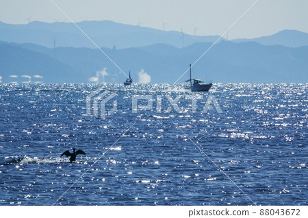 在陽光明媚的日子裡,藍色的大海和一隻鳥棲息在岩石上,冬天,220212pm 在陽光明媚的日子裡,藍色的大海和一隻鳥棲息在岩石上,冬天,220212pm 88043672