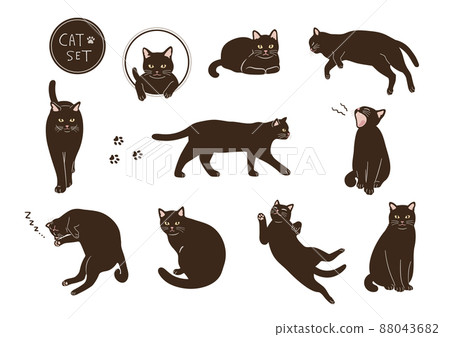 Black cat illustration set Black cat illustration set 88043682