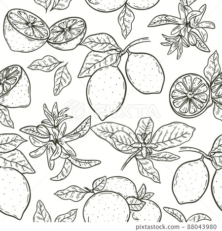 Lemons on branch with leaves and flowers hand engraving seamless pattern 88043980