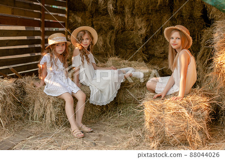 Little girls friends spending time together in hayloft on summer day Little girls friends spending time together in hayloft on summer day 88044026