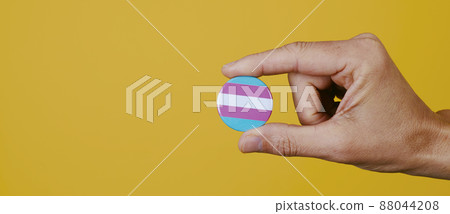 transgender pride flag in pin button, banner 88044208