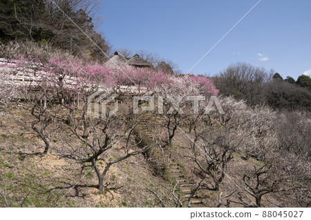 Tsukubasan Bairin Tsukubasan Bairin 88045027