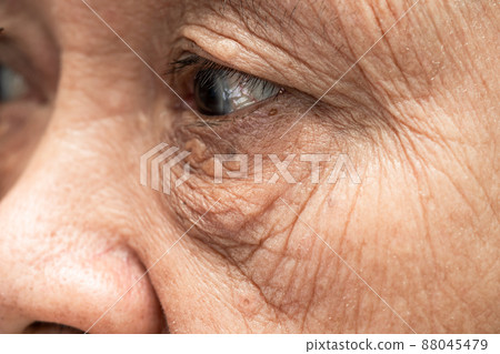 Asian elderly woman face and eye with wrinkles, portrait closeup view. 88045479