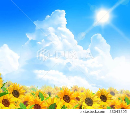 一個美麗的向日葵田的初夏框架背景材料，向日葵在陽光下綻放，在藍天上閃耀著積雨雲 88045805