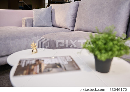 Focus on a velour upholstered soft settee with light cushions of light pastel colours with blurred journal table with catalogue and potted green plants on the foreground Focus on a velour upholstered soft settee with light cushions of light pastel colours with blurred journal table with catalogue and potted green plants on the foreground 88046170