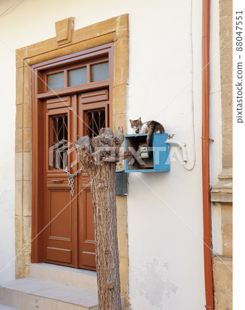 A cat sits on the electricity meter box next to the brown door of a traditional house in old Nicosia, Cyprus A cat sits on the electricity meter box next to the brown door of a traditional house in old Nicosia, Cyprus 88047551