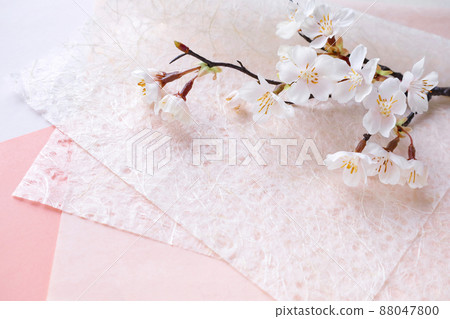 Cherry blossom branches on a pink Japanese paper background Cherry blossom branches on a pink Japanese paper background 88047800