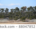 靜岡縣濱松市中田島沙丘 88047852