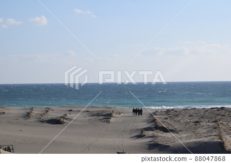 靜岡縣濱松市中田島沙丘 靜岡縣濱松市中田島沙丘 88047868