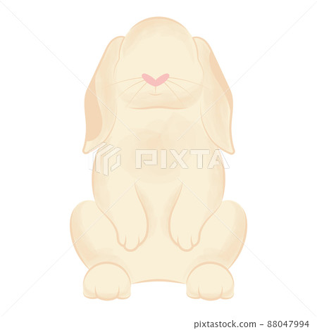 Isolated cute easter bunny animal Vector - Stock Illustration [88047994 ...