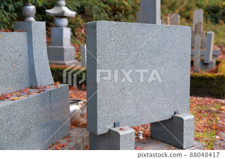 墳墓的墳墓雜誌 88048417