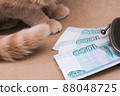 red-haired cat next to Russian banknotes worth 1000 rubles. 88048725