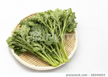 在 colander_white 背景上的 Crowndaisy 在 colander_white 背景上的 Crowndaisy 88048803