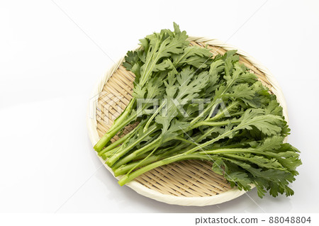 在 colander_white 背景上的 Crowndaisy 在 colander_white 背景上的 Crowndaisy 88048804