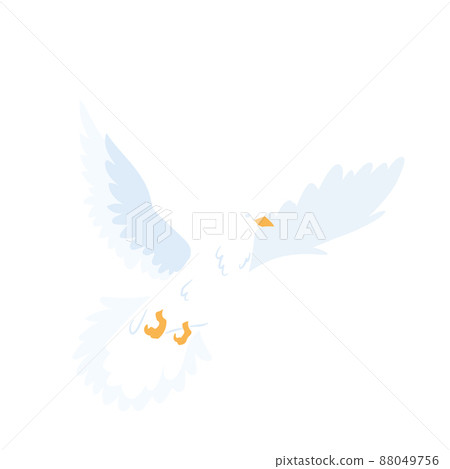 Isolated white flying pigeon animal Vector 88049756
