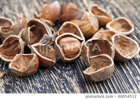 split hazelnuts on the table split hazelnuts on the table 88054512