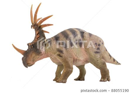 Styracosaurus  Dinosaur on isolate background 88055190