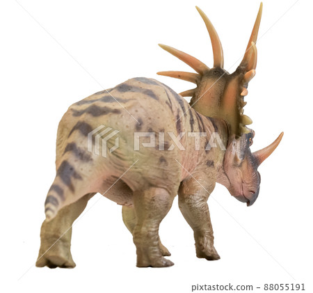 Styracosaurus  Dinosaur on isolate background 88055191