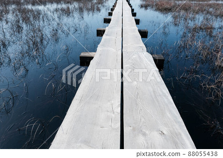 Tuhu nature Tuhu nature walking trail. wooden footbridges in the swamp. Estonia Tuhu nature Tuhu nature walking trail. wooden footbridges in the swamp. Estonia 88055438