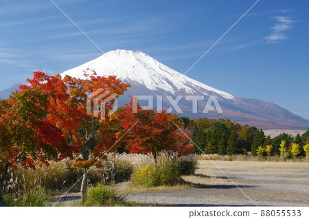 紅楓與白雪覆蓋的富士山廣場 紅楓與白雪覆蓋的富士山廣場 88055533