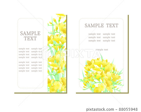 黃色小蒼蘭圖框 88055948