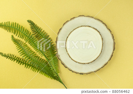 Wooden stand and plants for product photography Wooden stand and plants for product photography 88056462
