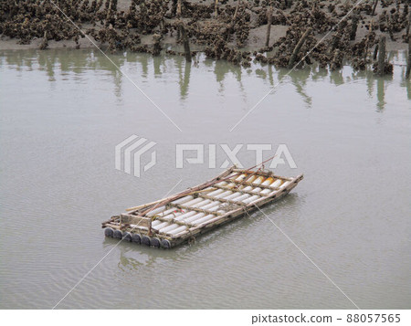 新竹市 新竹市 88057565