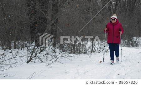 A woman in a red jacket is walking through the forest. Winter A woman in a red jacket is walking through the forest. Winter 88057826