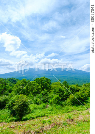 Summer Yatsugatake seen from Hirasawa Pass 88057841