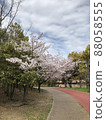 Sakura Sakuranamiki Park 88058555