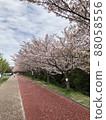 Sakura Sakuranamiki Park 88058556