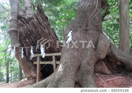 住吉神社 住吉神社 88059106