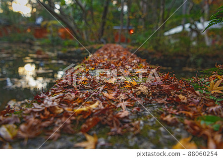 Autumn scenery in the precincts of Kyoto Akayama Zenin Autumn scenery in the precincts of Kyoto Akayama Zenin 88060254