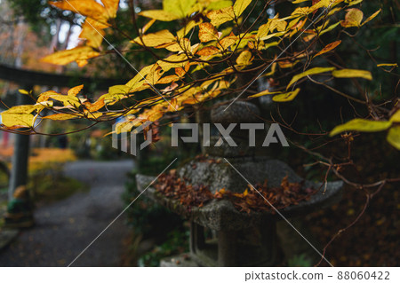 京都赤山善忍境內的秋景 88060422