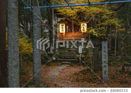 Kyoto Akayama Zenin Fantastic Aioi-sha in the forest Kyoto Akayama Zenin Fantastic Aioi-sha in the forest 88060533