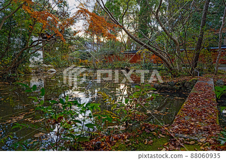 京都赤山善忍境內的秋景 88060935