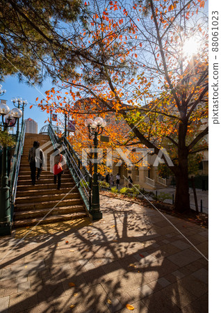 Takarazuka City Flower Road Autumn Leaves and Landscape, Stairs, Overpass, November 26, Takarazuka, Japan Takarazuka City Flower Road Autumn Leaves and Landscape, Stairs, Overpass, November 26, Takarazuka, Japan 88061023
