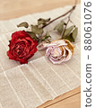 Dried flowers red and pink roses 88061076