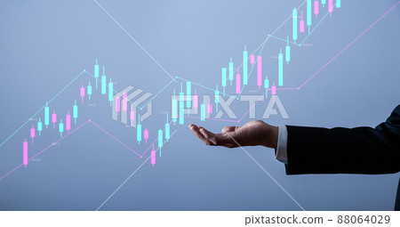 Asset Management 88064029