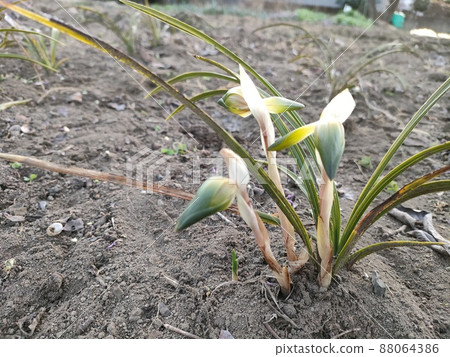 哈倫蘭順蘭 88064386