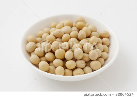 soy 88064524