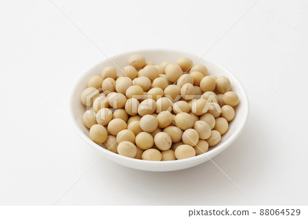 soy soy 88064529