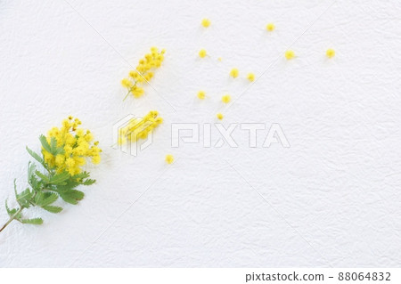 Mimosa frame 88064832