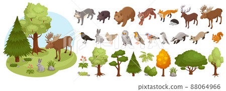 Forest Animals Big Set 88064966