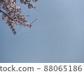 櫻花和藍天 88065186